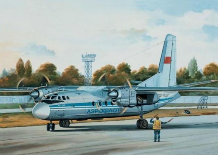 Як літак під номером «CCCP-46357» упав на Закарпатті (ФОТО)