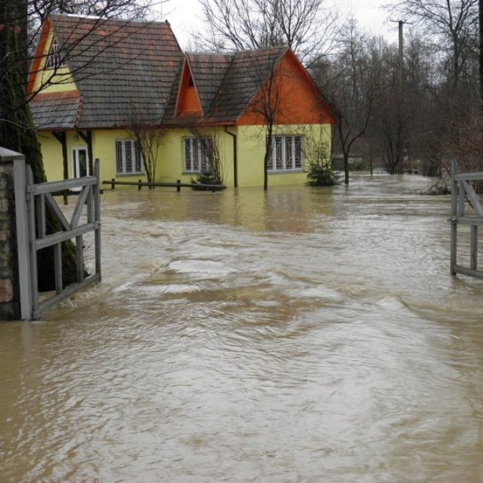 Підтопленими на Закарпатті все ще залишаються 535 гектарів аграрних земель