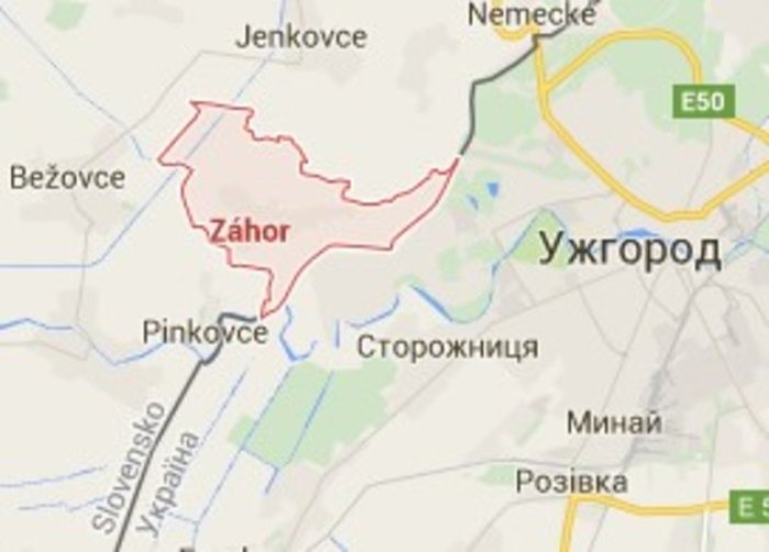 Підданого Асада сусіди з ЄС повернули на Закарпаття