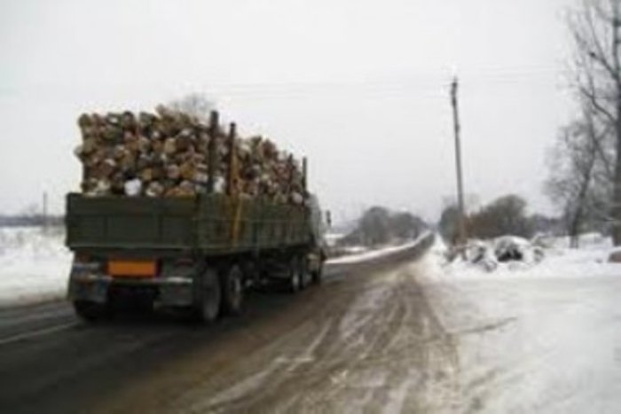 Деревина у фурах виявилася без жодних документів!