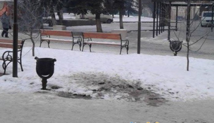 Через байдужість і нехлюйство городян зелені зони можуть стати «чорними» (ФОТО)