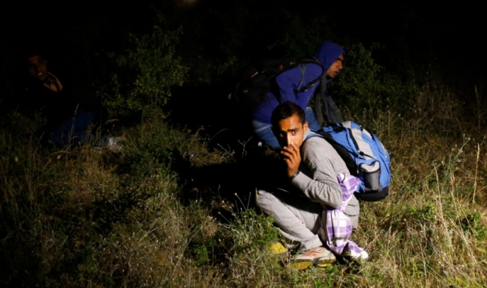 Нелегали у Закарпатті безперешкодно перетнули кордон з ЄС