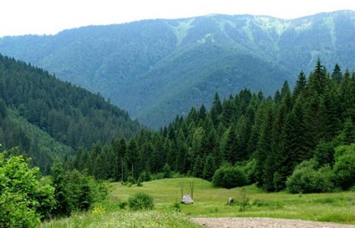 Закарпаття - на другому місці з-поміж областей, де хороша екологія