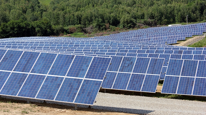 Три сонячні електростанції Закарпаття у 2015-му могли замінити половину гідроелектростанцій  