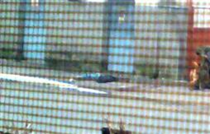 Учорашня стрілянина в Мукачеві: три кулі в паркан, одна в ногу, але фатальна. Відео поліції 