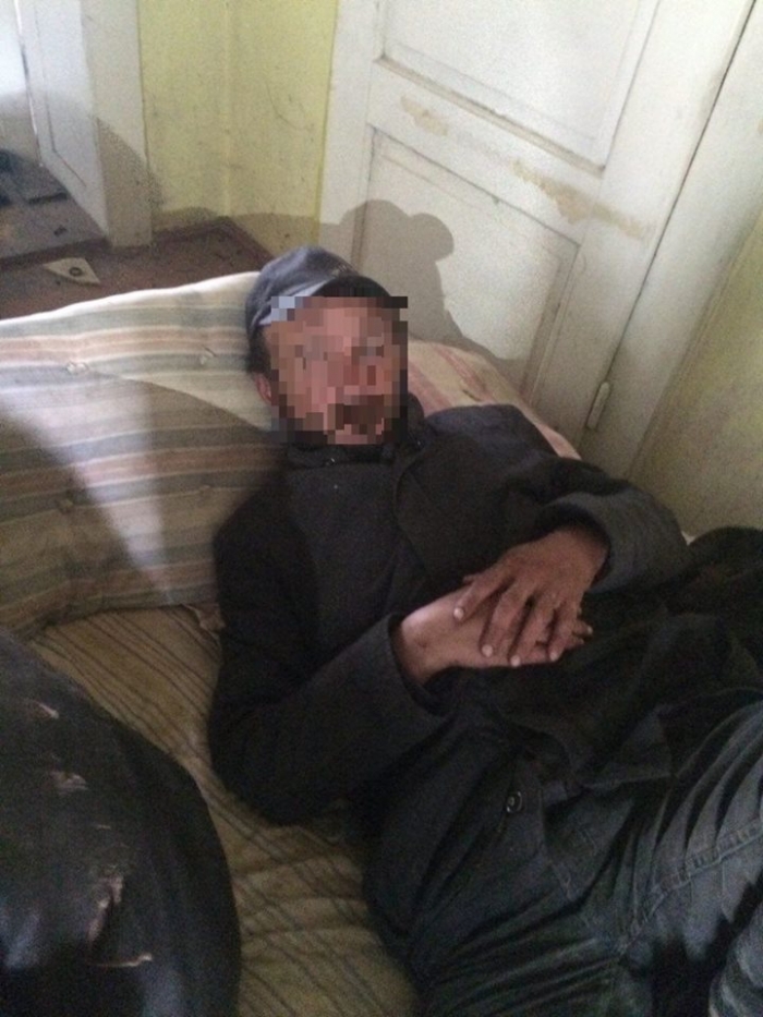 Зручно влаштувались