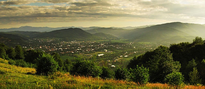 Закарпатці попросили Верховну Раду дозволити сільрадам розпоряджатися власними землями