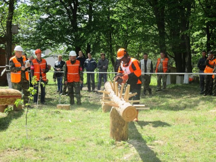 Коли робота як мистецтво: філігранність від закарпатських лісорубів
