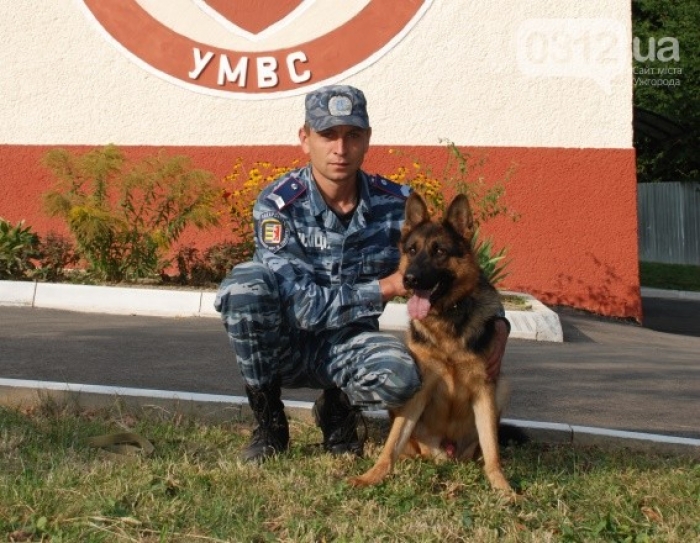 Поліцейська вівчара розшукала награбоване майно