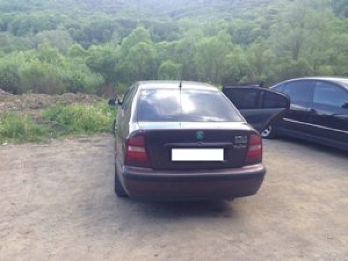 Водія, який перебував у розшуку через причетність до ДТП затримали, коли той намагався перетнути кордон