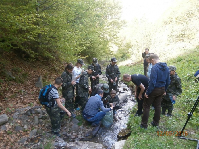 Як у гірські річки краю запускали десятки тисяч мальків форелі