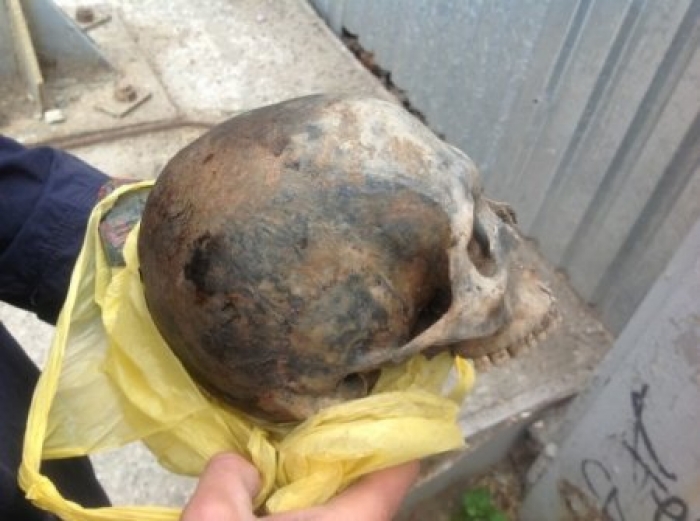 Закарпатець знайшов череп людини