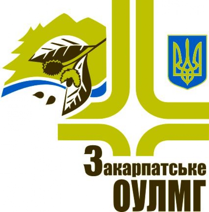 Закарпатські лісівники запрошують до участі у круглому столі "Лісова сертифікація на Закарпатті"