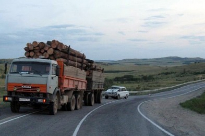 Чергову вантажівку з "лівою" деревиною затримали правоохоронці