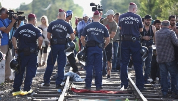 В Угорщині поліція знайшла угорські "ліві" цигарки