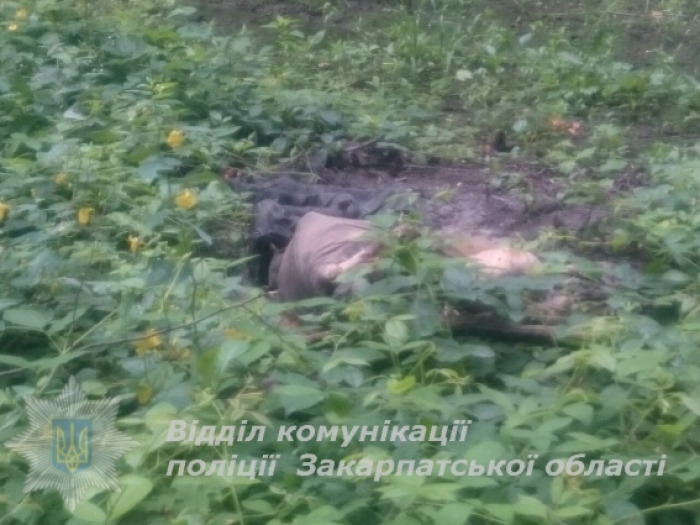 На Мукачівщині знайшли труп