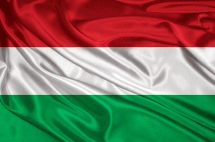 Угорщина через три місяці проведе референдум щодо мігрантів