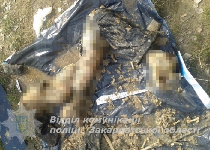 В улюбленому місці відпочинку ужгородців знайшли неопізнаний труп (ФОТО 18+)