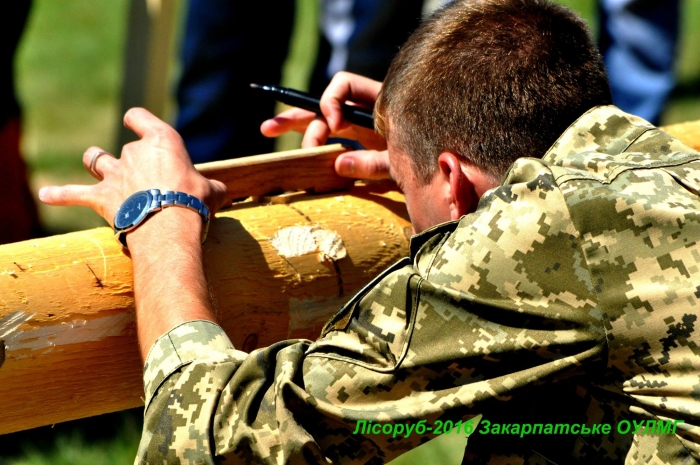 Найефективнішими лісорубами Закарпаття виявилися міжгірці