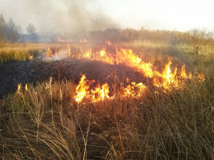 Через необережність з вогнем на Закарпатті вигоріли шість гектарів трави