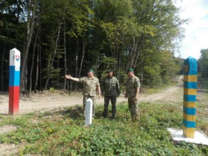 Закарпатські і словацькі прикордонники спільно боротимуться з незаконними вирубками