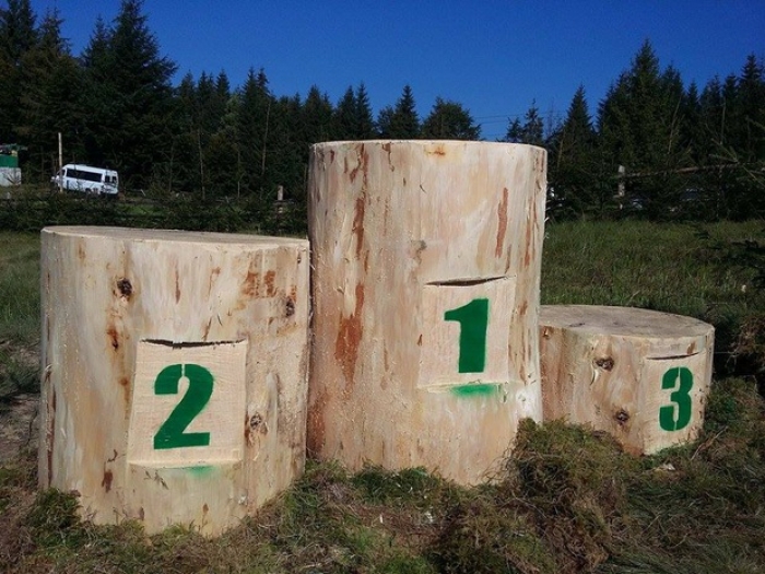 Конкурс лісорубів на Закарпатті вперше проводять за європейським зразком