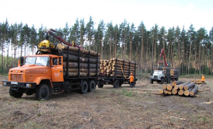 Краз Лесовоз С Манипулятором Б У Купить