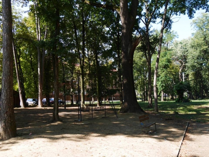 Ужгородський парк хочуть оновити за сприяння Словаччини