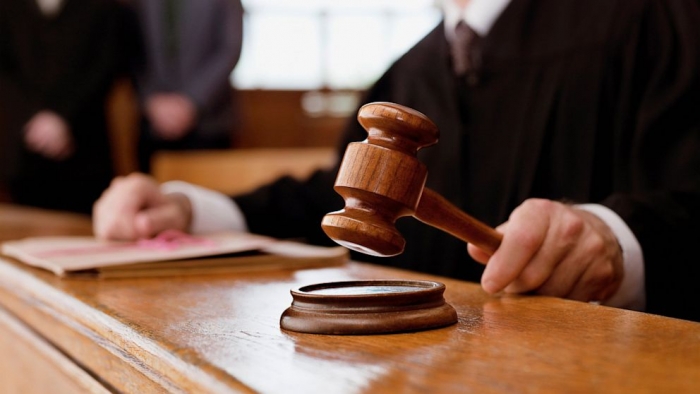 Суд визнав законним стягнення з ДП «Берегівське ЛГ» понад півмільйона гривень за незаконні рубки