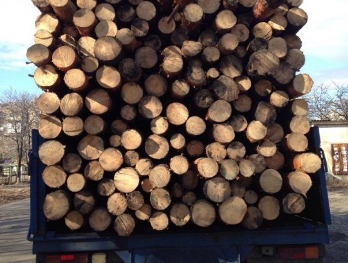 На Рахівщині співробітники ГШР затримали вантажівку з незадокументованою деревиною
