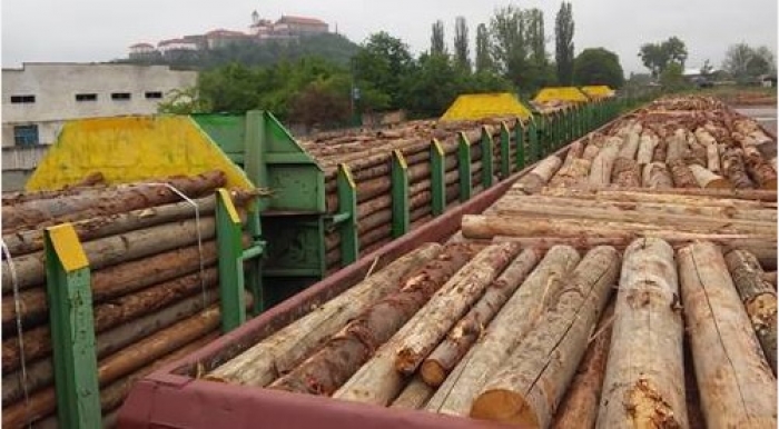 Вагон з деревиною з півночі України вилучив Ужгородський суд