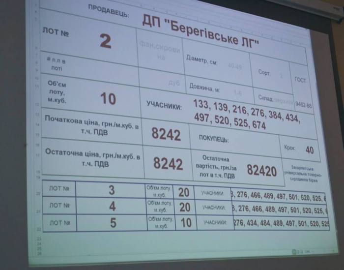 Аукціон Закарпатського ОУЛМГ показав, яка деревина в області найпопулярніша