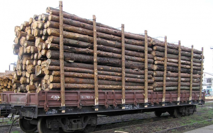 Держлісагентство виграло суд у Закарпатської митниці щодо чотирьох вагонів з деревиною