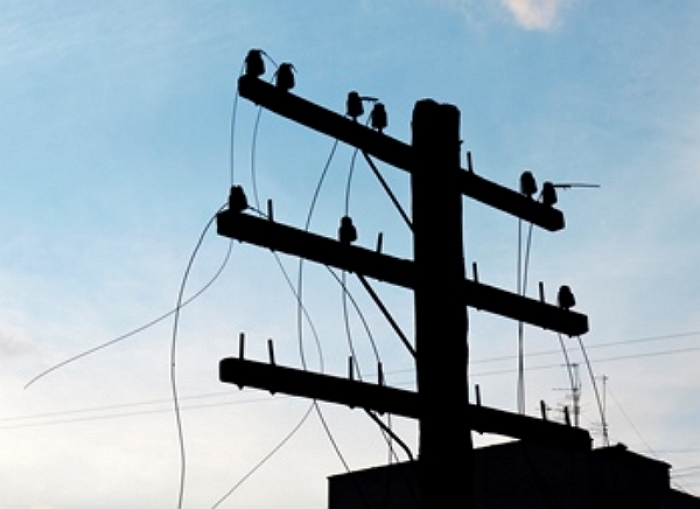 Негода залишила без електрики 30 населених пунктів Закарпаття