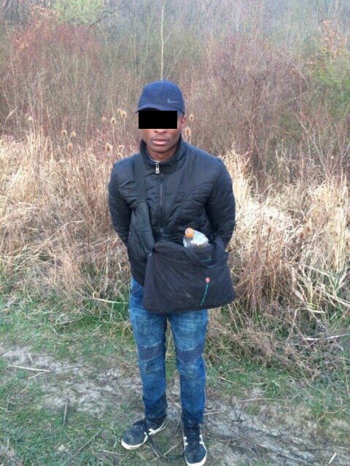 Разом з потеплінням з африканського вирію прибувають нелегали