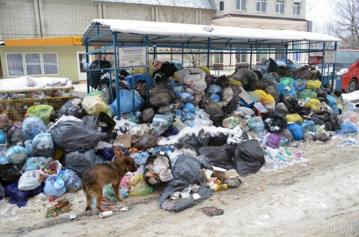 На Хустщині з-під снігу проростає ... сміття