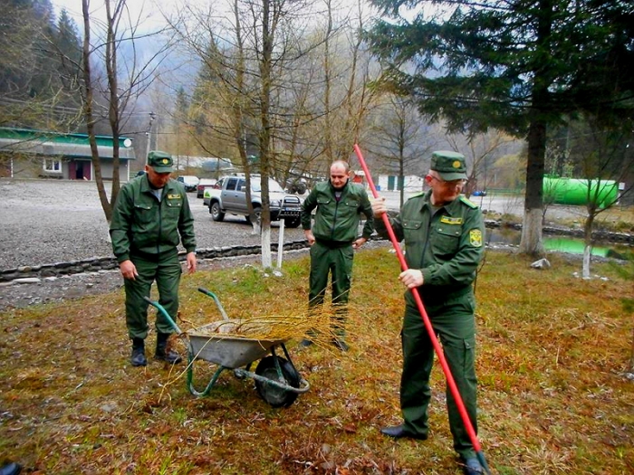 "Албанські" дерева висадили лісівники біля своєї штаб-квартири у "глибинці" Тячівщини