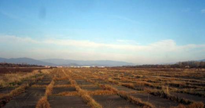 Москаль відреагував на повідомлення про можливе відновлення аеропорту в Мукачеві