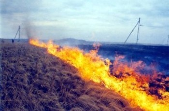Мешканці Берегівщини залишились без газу: через підпали сухої трави газовики відключили постачання