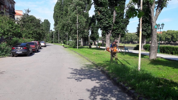 Що сьогодні в Ужгороді роблять комунальники