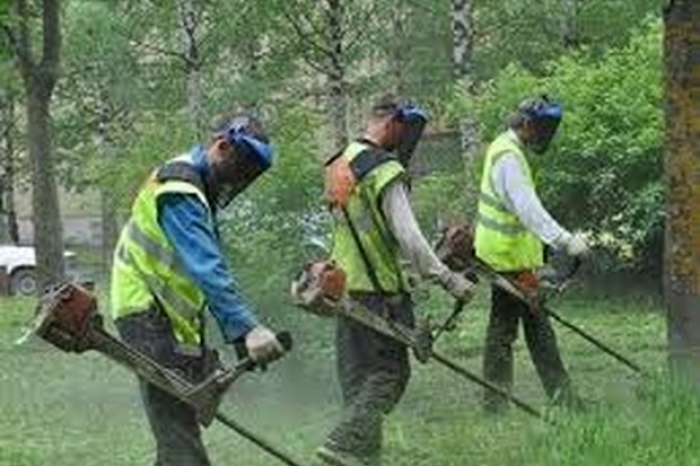 Енергетики разом із комунальниками сьогодні займаються благоустроєм Ужгорода