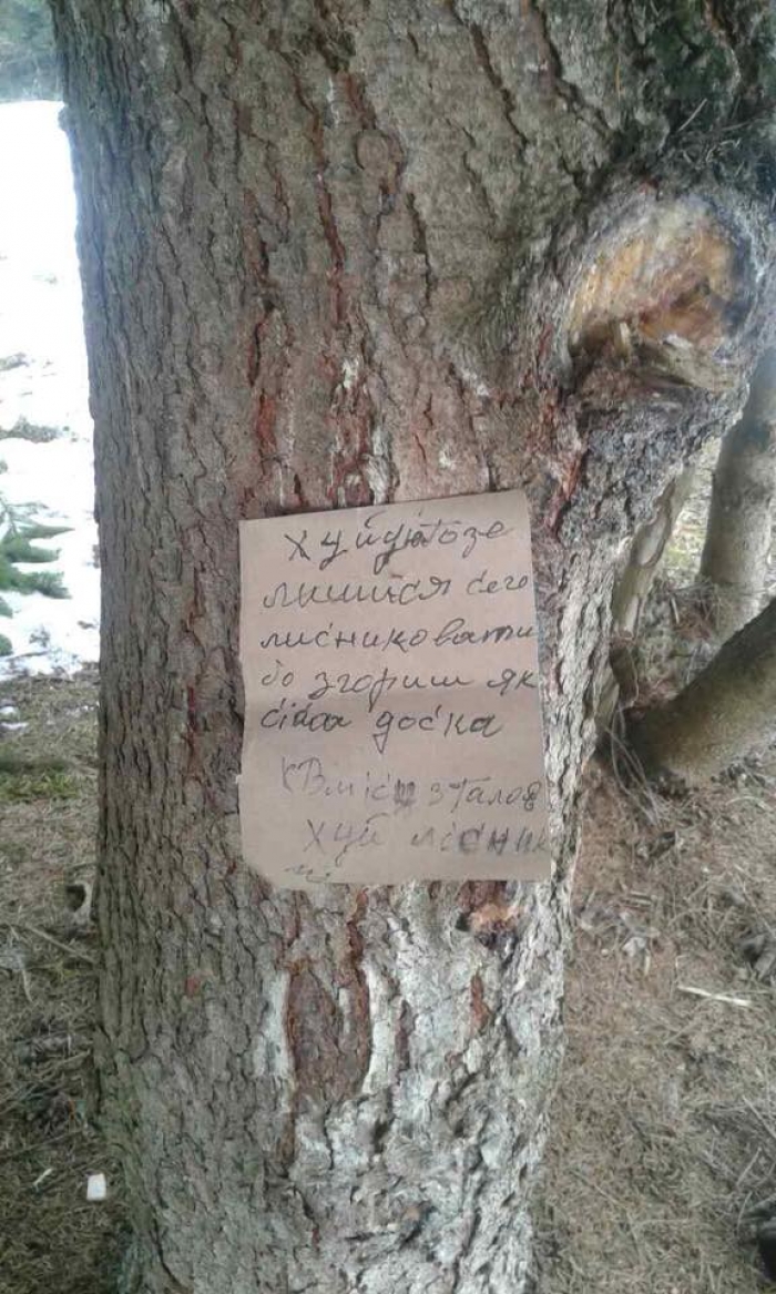 "Чорні лісоруби" на місці злочину залишили записку з погрозами та надписом, які паплюжать честь лісівників Закарпаття