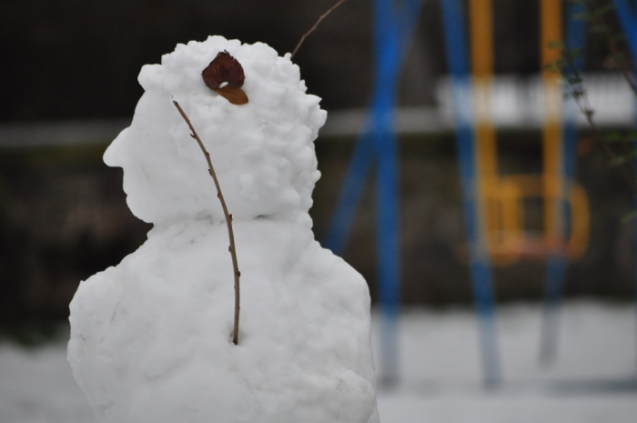 Снігу мало не буває – в Ужгороді з'являються «снігові агенти» 