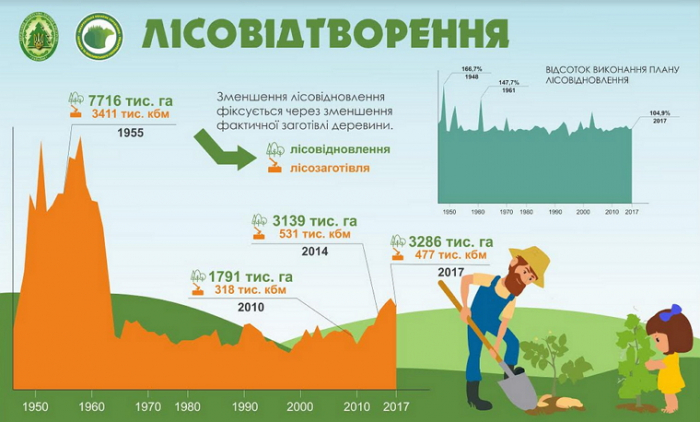 Під час осінньої висадки дерев планується відновити 200 гектарів лісів Закарпаття