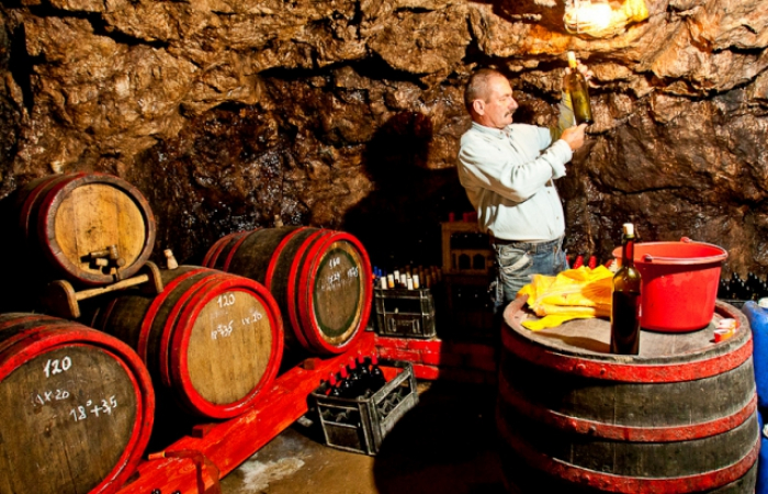 Закарпатська ДФС: Уряд спростив процедуру ліцензування для малих виробників виноробної продукції