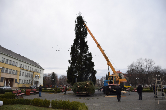 Головну новорічну ялинку Закарпаття почали встановлювати на площі Народній в Ужгороді (+ ФОТО)