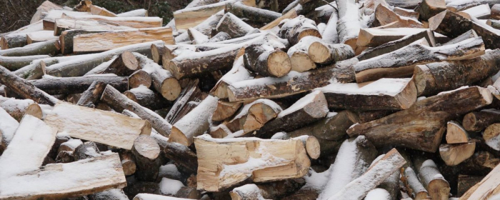 У лісівників Великоберезнянщини – активна фаза із забезпечення дровами населення