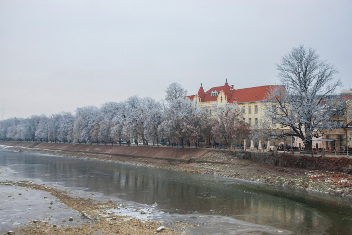 Справжня казка: передноворічний, морозний Ужгород (ФОТОРЕПОРТАЖ)