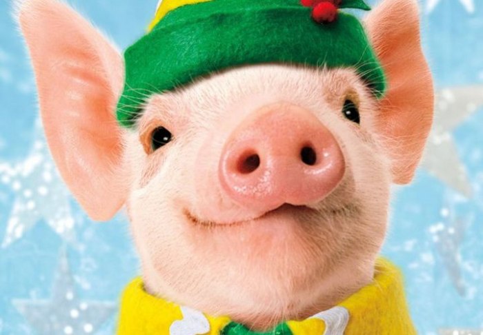 "Три рази хрюкнути на телевізор": закарпатський письменник дав 9 порад, як треба зустріти рік свині