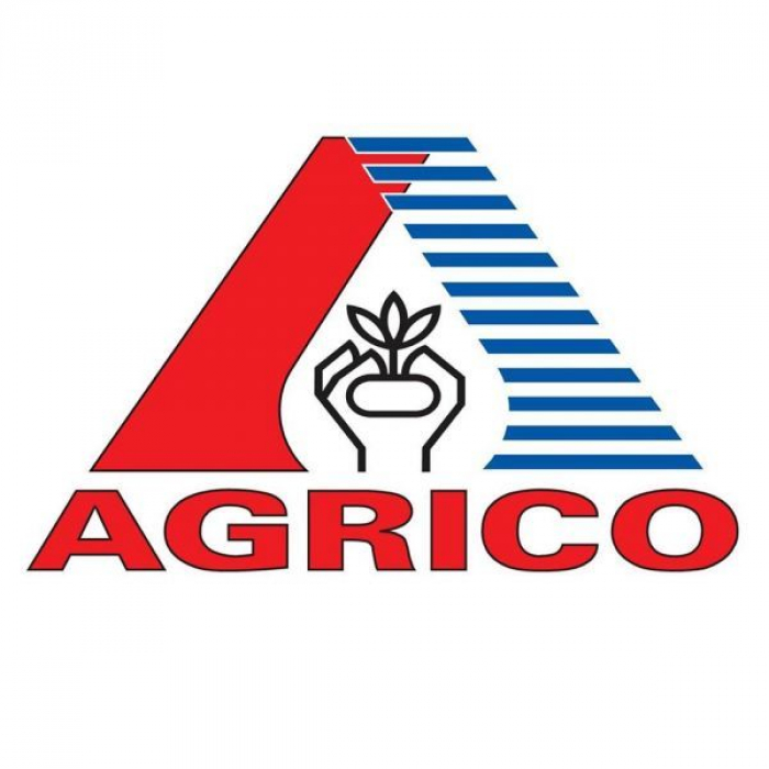 Agrico: насіннєва, посадкова картопля з Голландії